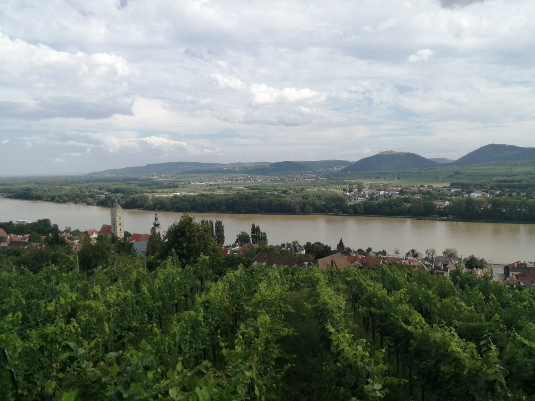 Riede Grillenparz/Stein an der Donau